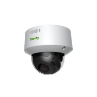 Tiandy TC-C32MN Spec:I3/A/E/Y/M/2.8-12mm IP камера купольная 2Mп