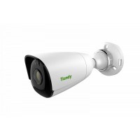 Tiandy TC-C32JS Spec:I5/E/M/N/2.8mm IP камера уличная 2Mп
