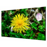 Hikvision DS-D2055LE-G LCD-Экран