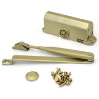 Dorma TS77 EN 2 стд., золотой Доводчик дверной